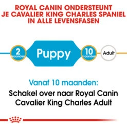 Royal Canin Cavalier King Charles Puppy - Hondenvoer 16 Royal Canin Cavalier King Charles Puppy - Hondenvoer -Honden Benodigdheden Winkel royal canin cavalier king charles puppy hondenvoer 137911 1000 none