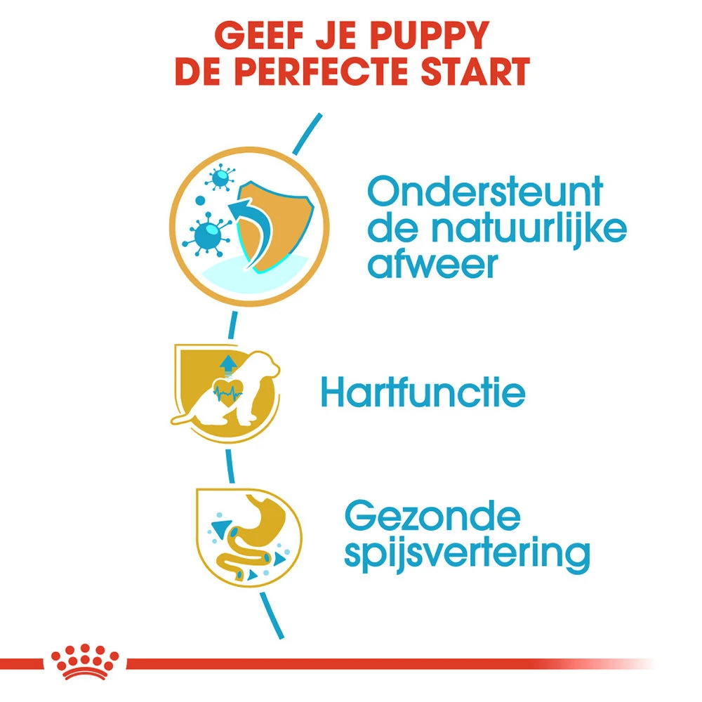 Royal Canin Cavalier King Charles Puppy - Hondenvoer 4 Royal Canin Cavalier King Charles Puppy - Hondenvoer - Afbeelding 4
