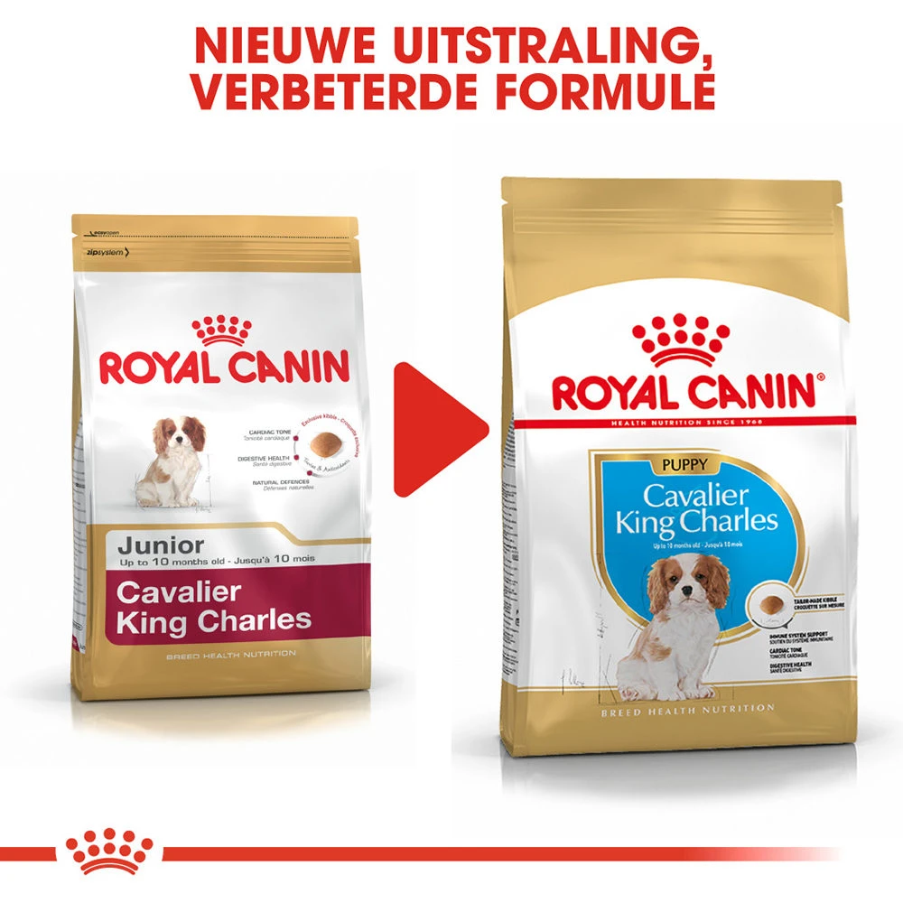 Royal Canin Cavalier King Charles Puppy - Hondenvoer 2 Royal Canin Cavalier King Charles Puppy - Hondenvoer - Afbeelding 2