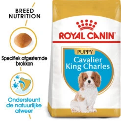 Royal Canin Cavalier King Charles Puppy - Hondenvoer 12 Royal Canin Cavalier King Charles Puppy - Hondenvoer -Honden Benodigdheden Winkel royal canin cavalier king charles puppy hondenvoer 142814 1000 none