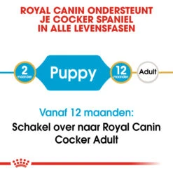 Royal Canin Cocker Puppy - Hondenvoer -Honden Benodigdheden Winkel royal canin cocker puppy hondenvoer 138205 1000 none