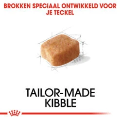 Royal Canin Dachshund Adult - Hondenvoer 14 Royal Canin Dachshund Adult - Hondenvoer -Honden Benodigdheden Winkel royal canin dachshund adult hondenvoer 138274 1000 none