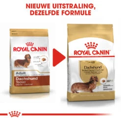 Royal Canin Dachshund Adult - Hondenvoer 16 Royal Canin Dachshund Adult - Hondenvoer -Honden Benodigdheden Winkel royal canin dachshund adult hondenvoer 138292 1000 none