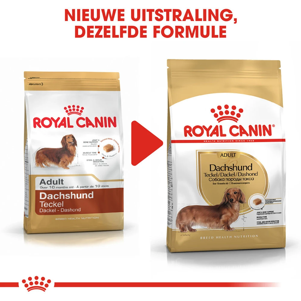 Royal Canin Dachshund Adult - Hondenvoer 7 Royal Canin Dachshund Adult - Hondenvoer - Afbeelding 7