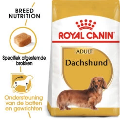 Royal Canin Dachshund Adult - Hondenvoer 12 Royal Canin Dachshund Adult - Hondenvoer -Honden Benodigdheden Winkel royal canin dachshund adult hondenvoer 140510 1000 none