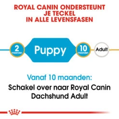 Royal Canin Dachshund Puppy - Hondenvoer -Honden Benodigdheden Winkel royal canin dachshund puppy hondenvoer 138325 1000 none
