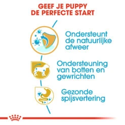 Royal Canin Dachshund Puppy - Hondenvoer -Honden Benodigdheden Winkel royal canin dachshund puppy hondenvoer 138343 1000 none