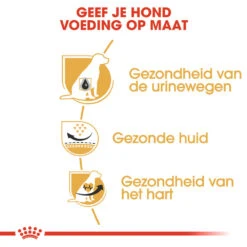 Royal Canin Dalmatian Adult - Hondenvoer -Honden Benodigdheden Winkel royal canin dalmatian adult hondenvoer 138520 1000 none