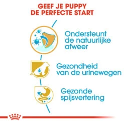 Royal Canin Dalmatian Junior - Hondenvoer -Honden Benodigdheden Winkel royal canin dalmatian puppy hondenvoer 138586 1000 none