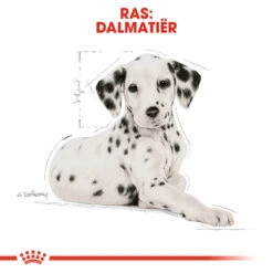 Royal Canin Dalmatian Junior - Hondenvoer -Honden Benodigdheden Winkel royal canin dalmatian puppy hondenvoer 138595 1000 none