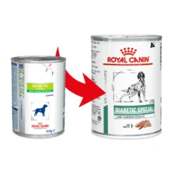 Royal Canin Diabetic Hond - Blik 5 Royal Canin Diabetic Hond - Blik -Honden Benodigdheden Winkel royal canin diabetic hond 145145 1000 none