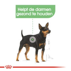 Royal Canin Digestive Care Wet - Hondenvoer -Honden Benodigdheden Winkel royal canin digestive care wet hondenvoer 131498 1000 none