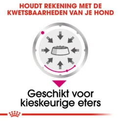 Royal Canin Exigent Wet - Hondenvoer 14 Royal Canin Exigent Wet - Hondenvoer -Honden Benodigdheden Winkel royal canin exigent wet hondenvoer 131888 1000 none