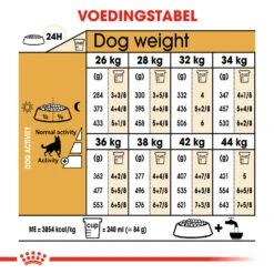 Royal Canin German Shepherd Adult - Hondenvoer -Honden Benodigdheden Winkel royal canin german shepherd adult hondenvoer 138793 1000 none