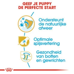 Royal Canin German Shepherd Puppy- Hondenvoer -Honden Benodigdheden Winkel royal canin german shepherd puppy hondenvoer 138835 1000 none