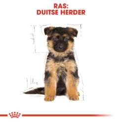 Royal Canin German Shepherd Puppy- Hondenvoer -Honden Benodigdheden Winkel royal canin german shepherd puppy hondenvoer 138844 1000 none