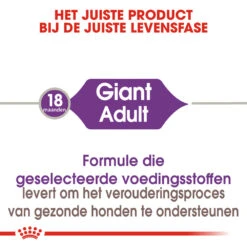 Royal Canin Giant Adult - Hondenvoer -Honden Benodigdheden Winkel royal canin giant adult hondenvoer 128390 1000 none