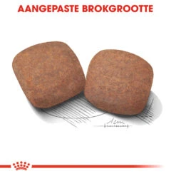 Royal Canin Giant Adult - Hondenvoer -Honden Benodigdheden Winkel royal canin giant adult hondenvoer 128399 1000 none