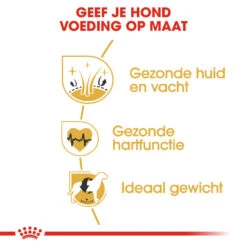 Royal Canin Golden Retriever Adult - Hondenvoer -Honden Benodigdheden Winkel royal canin golden retriever adult hondenvoer 138895 1000 none