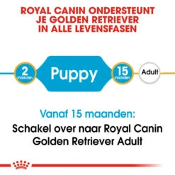 Royal Canin Golden Retriever Puppy - Hondenvoer 17 Royal Canin Golden Retriever Puppy - Hondenvoer -Honden Benodigdheden Winkel royal canin golden retriever puppy hondenvoer 138937 1000 none