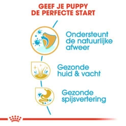 Royal Canin Golden Retriever Puppy - Hondenvoer 14 Royal Canin Golden Retriever Puppy - Hondenvoer -Honden Benodigdheden Winkel royal canin golden retriever puppy hondenvoer 138955 1000 none