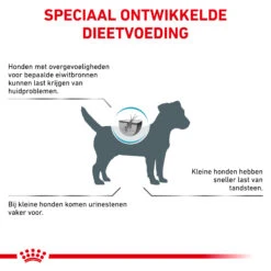 Royal Canin Hypoallergenic Kleine Hond -Honden Benodigdheden Winkel royal canin hypoallergenic kleine hond 205538 2000 none