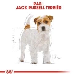 Royal Canin Jack Russell Terrier Adult - Hondenvoer -Honden Benodigdheden Winkel royal canin jack russell terrier adult hondenvoer 139066 1000 none