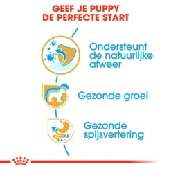 Royal Canin Jack Russell Terrier Puppy - Hondenvoer -Honden Benodigdheden Winkel royal canin jack russell terrier puppy hondenvoer 139315 1000 none