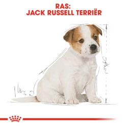 Royal Canin Jack Russell Terrier Puppy - Hondenvoer -Honden Benodigdheden Winkel royal canin jack russell terrier puppy hondenvoer 139324 1000 none
