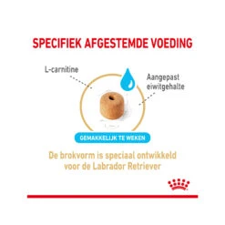 Royal Canin Labrador Retriever Adult 5+ 11 Royal Canin Labrador Retriever Adult 5+ -Honden Benodigdheden Winkel royal canin labrador retriever adult 5 165124 2000 none