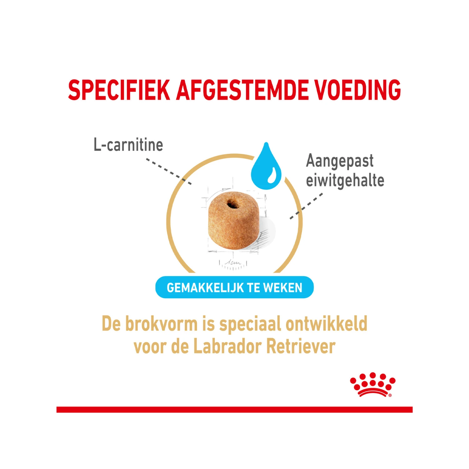 Royal Canin Labrador Retriever Adult 5+ 5 Royal Canin Labrador Retriever Adult 5+ - Afbeelding 5