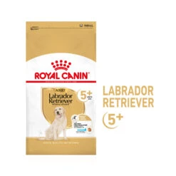 Royal Canin Labrador Retriever Adult 5+ 9 Royal Canin Labrador Retriever Adult 5+ -Honden Benodigdheden Winkel royal canin labrador retriever adult 5 165148 2000 none