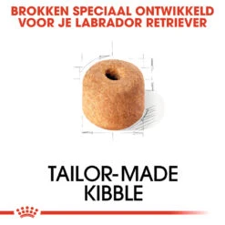 Royal Canin Labrador Retriever Adult - Hondenvoer -Honden Benodigdheden Winkel royal canin labrador retriever adult hondenvoer 139366 1000 none