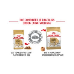 Royal Canin Labrador Retriever Adult - Hondenvoer -Honden Benodigdheden Winkel royal canin labrador retriever adult hondenvoer 164110 0500 none