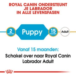 Royal Canin Labrador Retriever Puppy - Hondenvoer -Honden Benodigdheden Winkel royal canin labrador retriever puppy hondenvoer 139417 1000 none