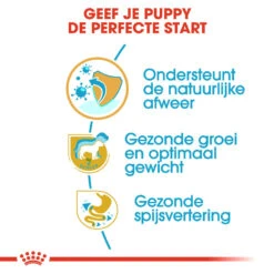 Royal Canin Labrador Retriever Puppy - Hondenvoer -Honden Benodigdheden Winkel royal canin labrador retriever puppy hondenvoer 139435 1000 none