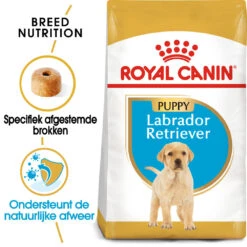 Royal Canin Labrador Retriever Puppy - Hondenvoer -Honden Benodigdheden Winkel royal canin labrador retriever puppy hondenvoer 140624 1000 none