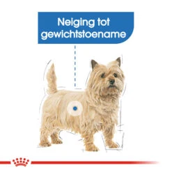 Royal Canin Light Weight Care Wet - Hondenvoer -Honden Benodigdheden Winkel royal canin light weight care wet hondenvoer 131435 1000 none