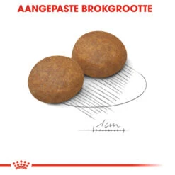 Royal Canin Maxi Adult 5+ - Hondenvoer -Honden Benodigdheden Winkel royal canin maxi adult 5 hondenvoer 128204 1000 none