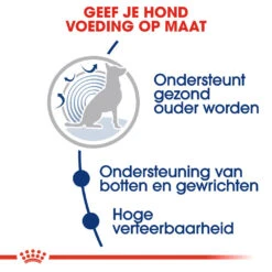 Royal Canin Maxi Ageing 8+ - Hondenvoer -Honden Benodigdheden Winkel royal canin maxi ageing 8 hondenvoer 128711 1000 none