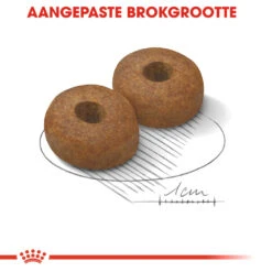 Royal Canin Maxi Ageing 8+ - Hondenvoer -Honden Benodigdheden Winkel royal canin maxi ageing 8 hondenvoer 128720 1000 none