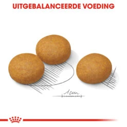 Royal Canin Maxi Dermacomfort - Hondenvoer 17 Royal Canin Maxi Dermacomfort - Hondenvoer -Honden Benodigdheden Winkel royal canin maxi dermacomfort hondenvoer 132446 1000 none