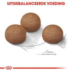 Royal Canin Maxi Digestive Care - Hondenvoer -Honden Benodigdheden Winkel royal canin maxi digestive care hondenvoer 144224 1000 none