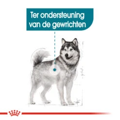 Royal Canin Maxi Joint Care - Hondenvoer 15 Royal Canin Maxi Joint Care - Hondenvoer -Honden Benodigdheden Winkel royal canin maxi joint care hondenvoer 132539 1000 none