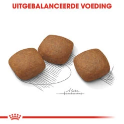 Royal Canin Maxi Joint Care - Hondenvoer 16 Royal Canin Maxi Joint Care - Hondenvoer -Honden Benodigdheden Winkel royal canin maxi joint care hondenvoer 132557 1000 none