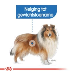 Royal Canin Maxi Light Weight Care - Hondenvoer -Honden Benodigdheden Winkel royal canin maxi light weight care hondenvoer 132605 1000 none