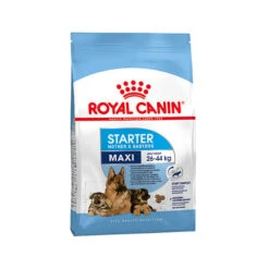 Royal Canin Maxi Starter Mother & Babydog - Hondenvoer -Honden Benodigdheden Winkel royal canin maxi starter mother babydog 114320 0500 none