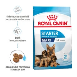Royal Canin Maxi Starter Mother & Babydog - Hondenvoer -Honden Benodigdheden Winkel royal canin maxi starter mother babydog hondenvoer 206834 2000 none