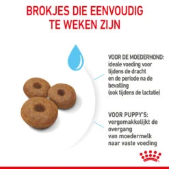 Royal Canin Maxi Starter Mother & Babydog - Hondenvoer -Honden Benodigdheden Winkel royal canin maxi starter mother babydog hondenvoer 206852 2000 none