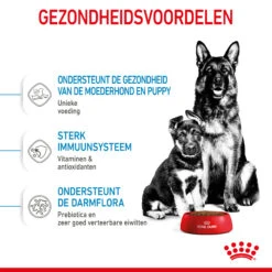 Royal Canin Maxi Starter Mother & Babydog - Hondenvoer -Honden Benodigdheden Winkel royal canin maxi starter mother babydog hondenvoer 206855 2000 none